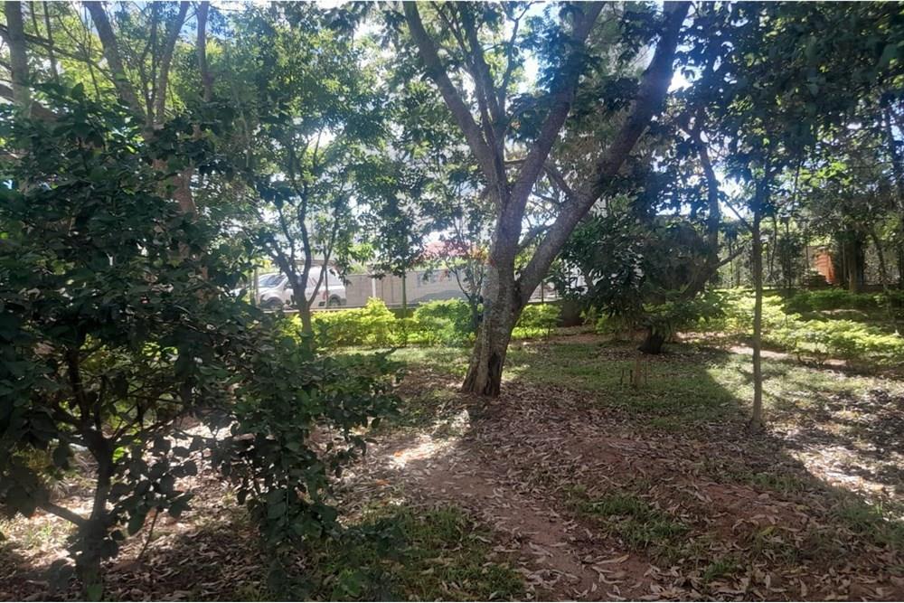 Apartamento - Venda - Juiz de Fora , Minas Gerais - WhatsApp Image 2025-03-18 at 11.55.06 (1).jpeg - Área Gourmet - 860381043-101