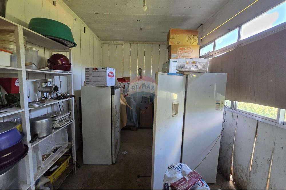 Chácara / Sítio / Fazenda - Venda - Ewbank da Câmara , Minas Gerais - 49.jpg - 860231001-211