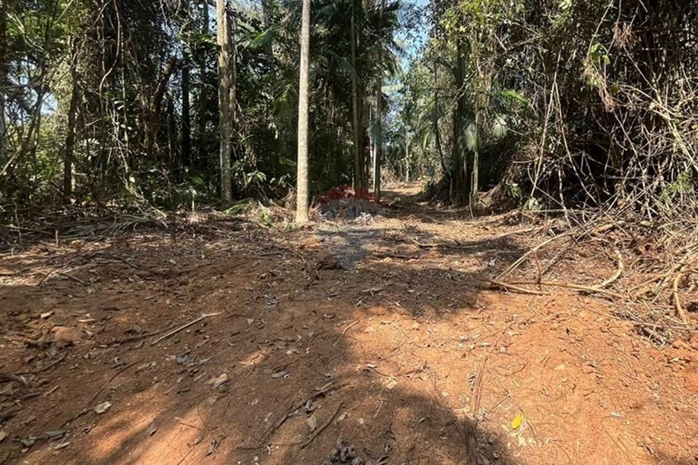 Chácara / Sítio / Fazenda - Venda - Juiz de Fora , Minas Gerais - IMG-20240918-WA0016.jpg - 860431023-209