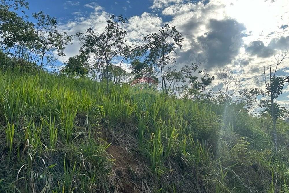 Terreno - Venda - Juiz de Fora , Minas Gerais - FOTO 28.JPG - 860291033-90