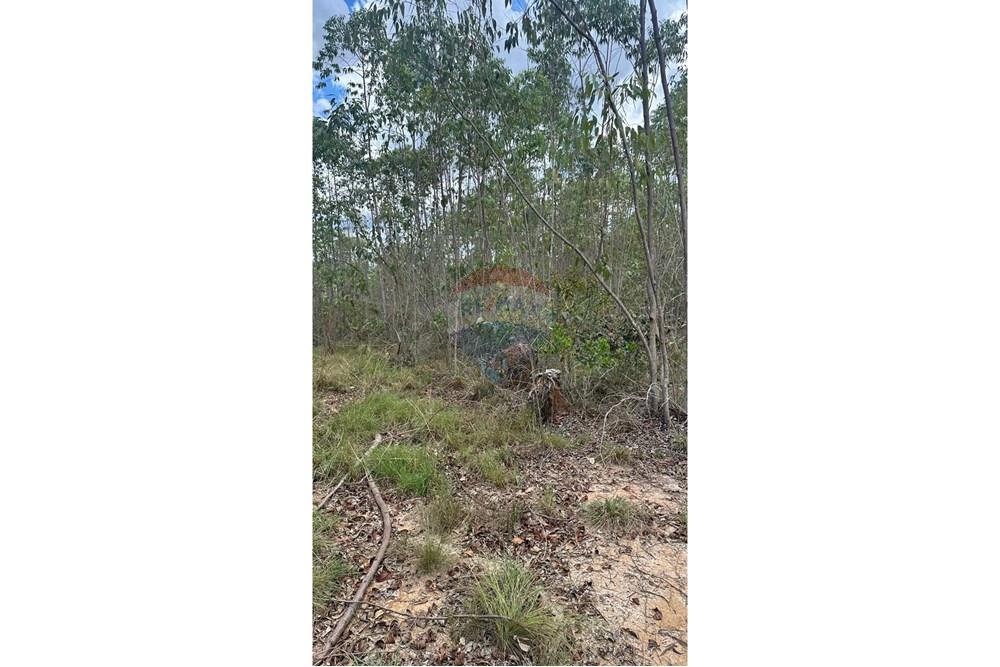 Chácara / Sítio / Fazenda - Venda - Santa Rita do Ibitipoca , Minas Gerais - 16425051-b1fe-4bad-930d-f1f60a93b4fa.JPG - 860291033-67