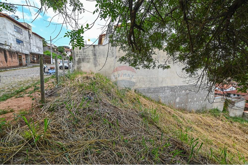 Terreno - Venda - Juiz de Fora , Minas Gerais - michaelseed.photo_remax semana 2-136-XL.jpg - 860211024-181