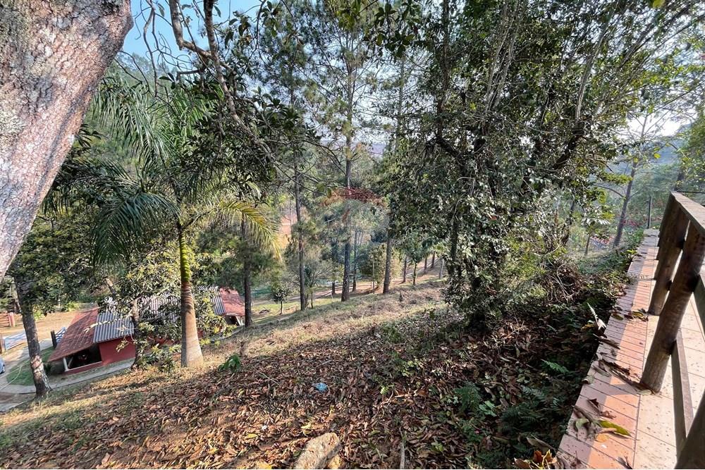 Chácara / Sítio / Fazenda - Venda - Juiz de Fora , Minas Gerais - WhatsApp Image 2024-09-05 at 10.07.16.jpeg - 860281091-75