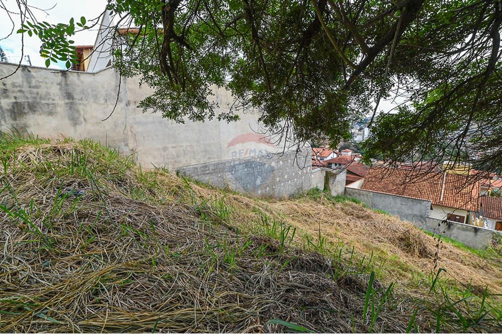 Terreno - Venda - Juiz de Fora , Minas Gerais - michaelseed.photo_remax semana 2-138-XL.jpg - 860211024-181