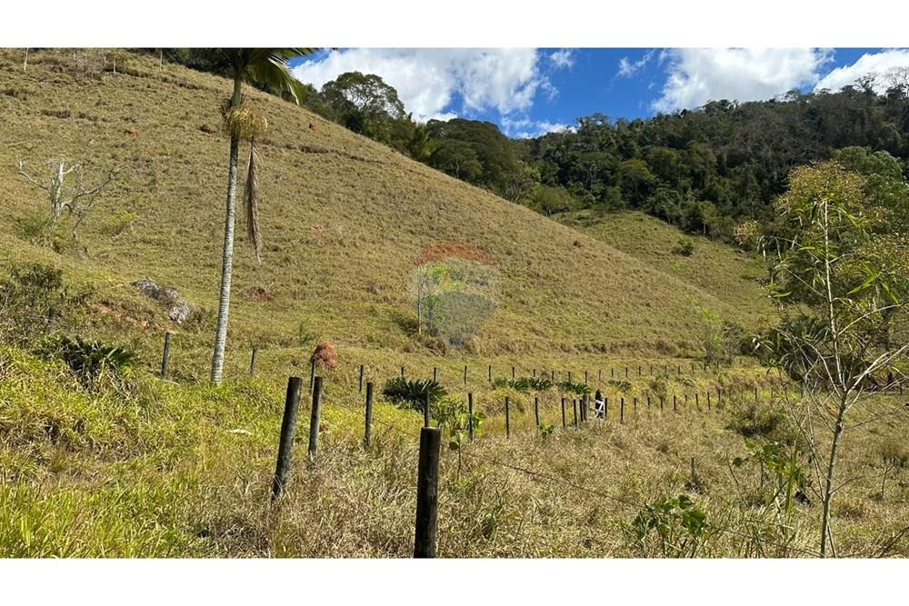 Chácara / Sítio / Fazenda - Venda - Santana do Deserto , Minas Gerais - IMG-20250926-WA0509.jpg - 860291041-20