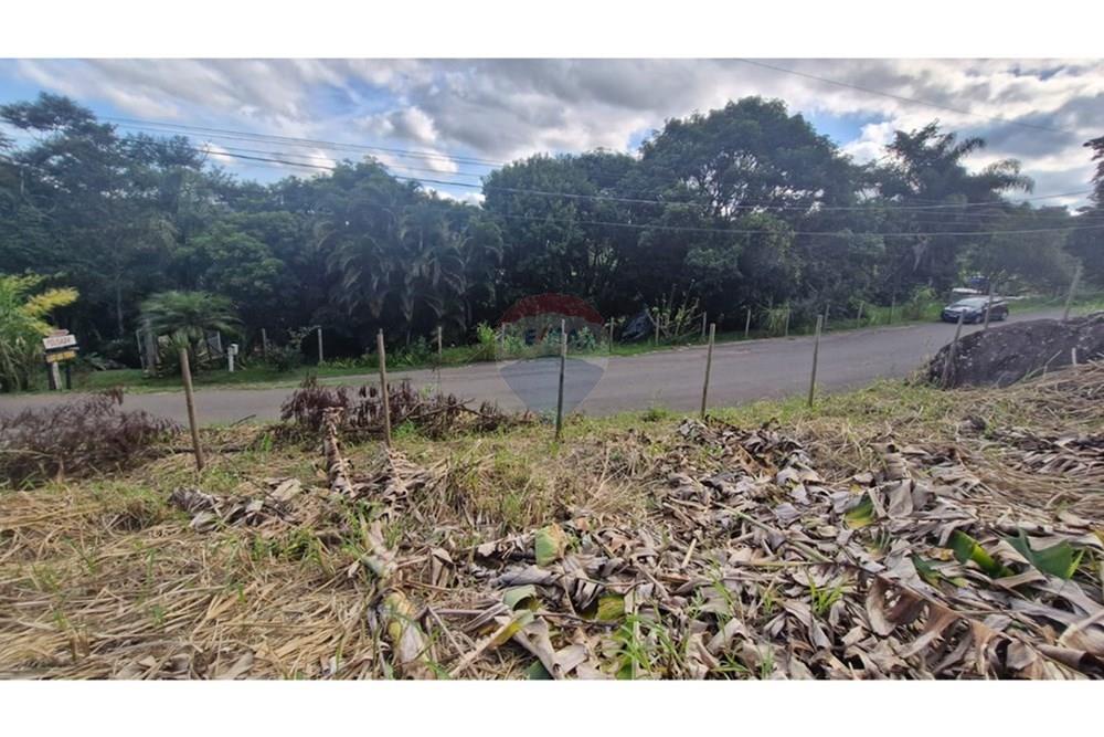 Terreno - Venda - Matias Barbosa , Minas Gerais - WhatsApp Image 2025-04-25 at 08.15.00 (2).jpeg - 860211017-59