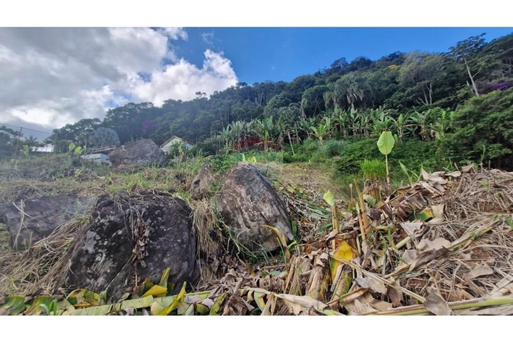 Terreno - Venda - Matias Barbosa , Minas Gerais - WhatsApp Image 2025-04-25 at 08.15.01 (1).jpeg - 860211017-59