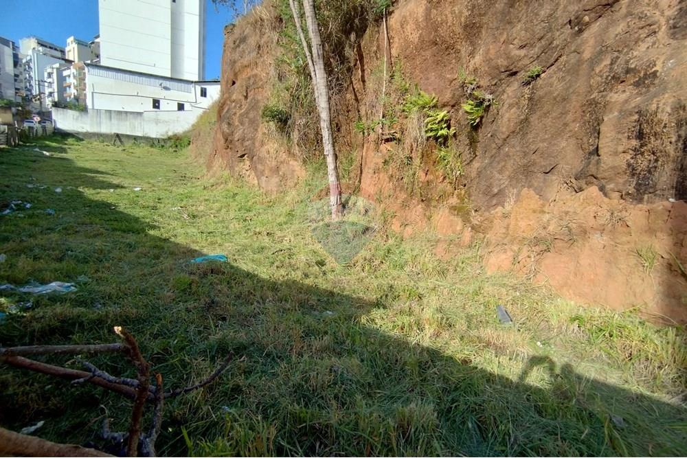 Kommerciel - Jord - Juiz de Fora , Minas Gerais - BR - 504618122_10036201376416616_2371806375049485938_n.jpg - 860301018-215