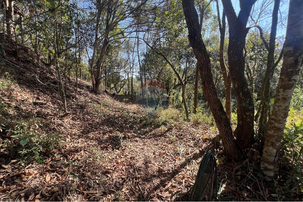 Casa - Venda - Lima Duarte , Minas Gerais - IMG_8156.JPG - 860231001-212