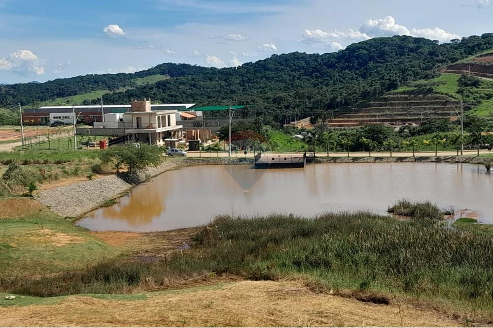 Terreno - Venda - Matias Barbosa , Minas Gerais - WhatsApp Image 2025-02-08 at 12.31.09.jpeg - 860381043-46