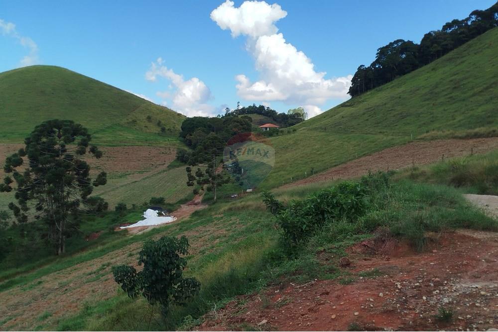 Fazenda - Venda - Barbacena , Minas Gerais - IMG_20250402_144317.jpg - 860391012-32