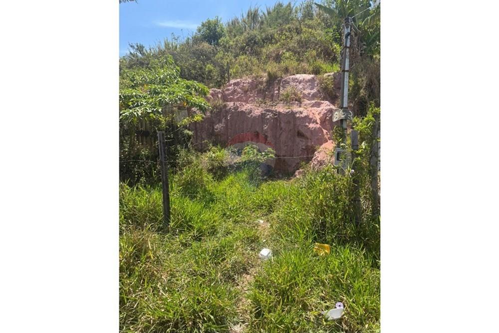 Terreno - Venda - Conselheiro Lafaiete , Minas Gerais - LOTE  PAULO VI.jpg - 860421030-43