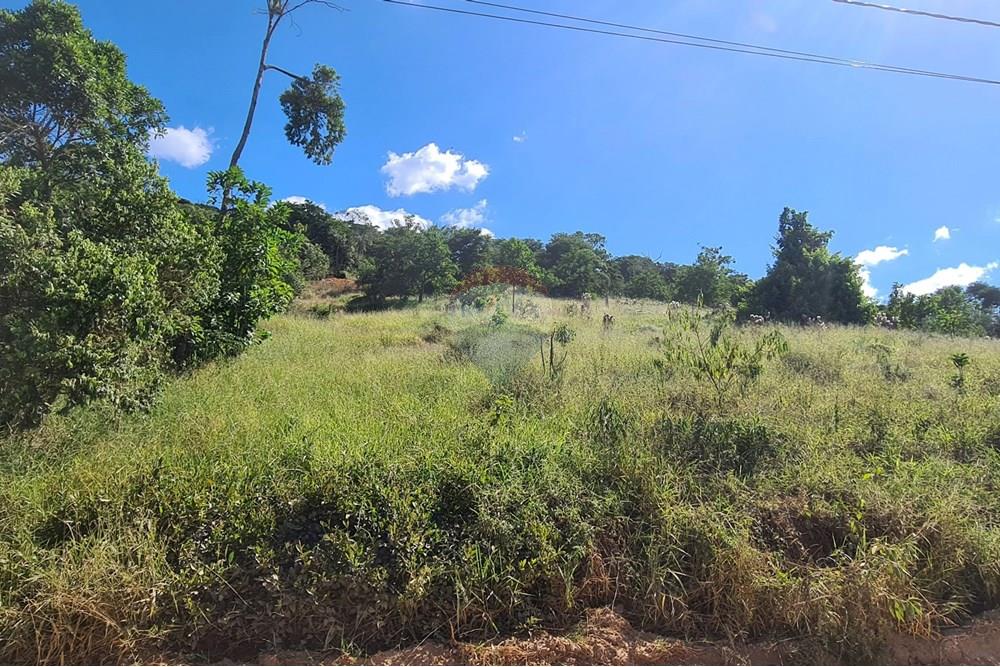 Terreno - Venda - Juiz de Fora , Minas Gerais - Terreno (2).jpeg - 860281005-148