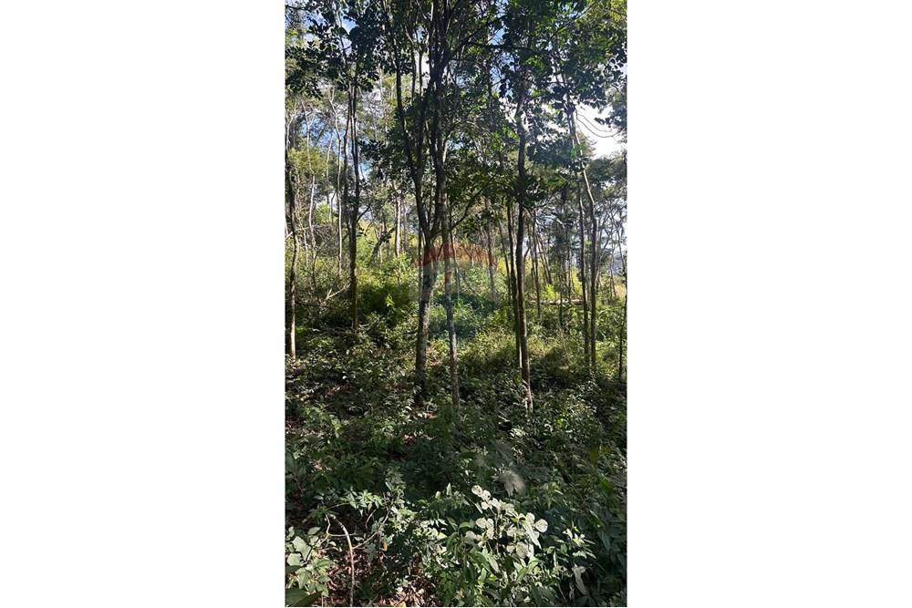 Terreno - Venda - Juiz de Fora , Minas Gerais - 8.JPG - 860291033-96