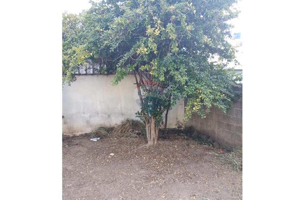 Casa - Venda - Lavras , Minas Gerais - ea0d4a26-5255-4d20-83e0-5998ff3dda01.jpeg - Quintal - 860471044-9