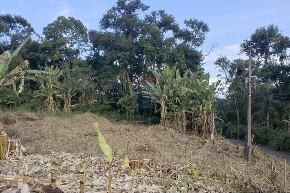 Terreno - Venda - Matias Barbosa , Minas Gerais - WhatsApp Image 2025-04-25 at 08.15.02.jpeg - 860211017-59