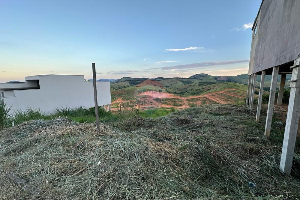 Terreno - Venda - Muriaé , Minas Gerais - WhatsApp Image 2025-02-26 at 18.15.54 (1).jpeg - 860371007-85