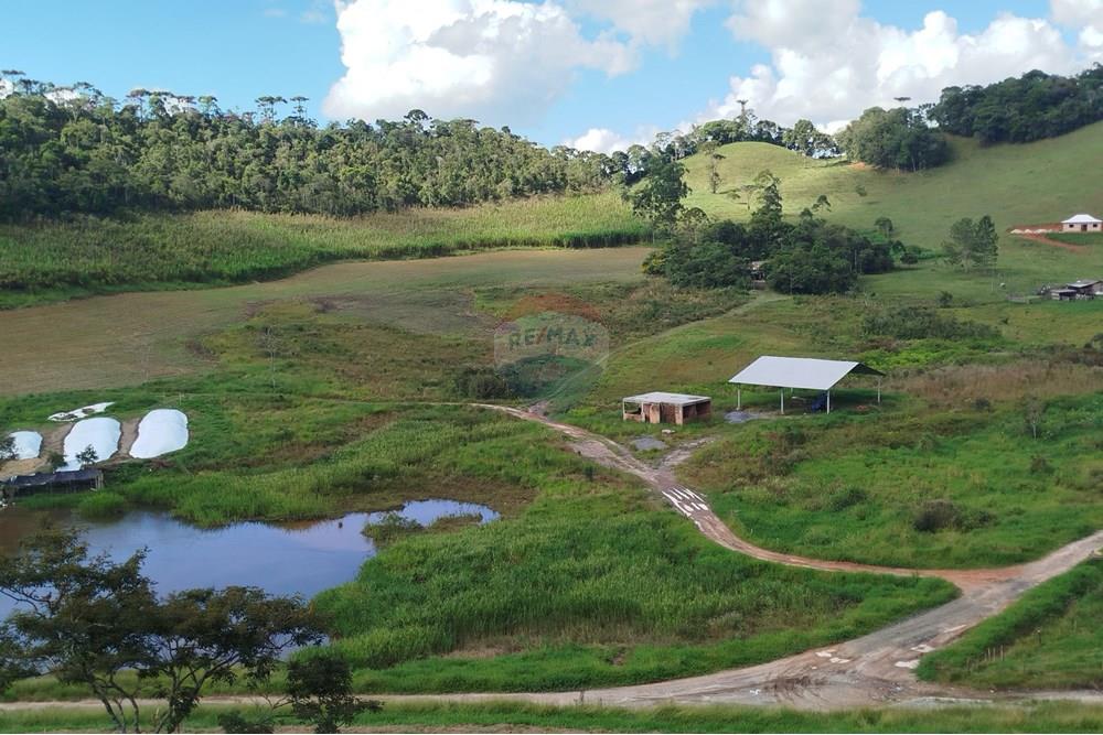 Fazenda - Venda - Barbacena , Minas Gerais - IMG_20250402_144228.jpg - 860391012-32