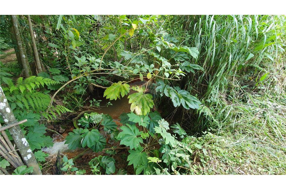 Terreno - Venda - Juiz de Fora , Minas Gerais - 10 - 860231021-231