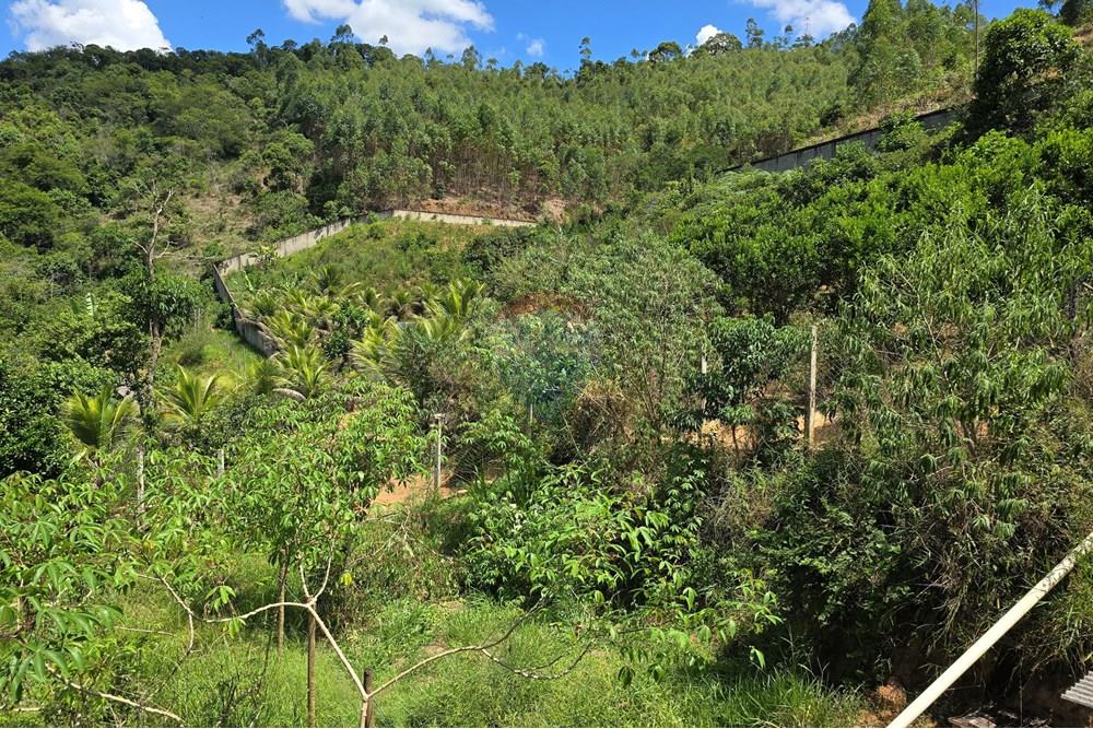 Chácara / Sítio / Fazenda - Venda - Ewbank da Câmara , Minas Gerais - 53.jpg - 860231001-211