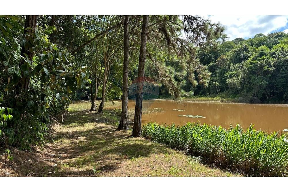 Chácara / Sítio / Fazenda - Venda - Matias Barbosa , Minas Gerais - 630c3362-f8f6-4be8-95ff-8ec859b8ee36.JPG - 860291033-99