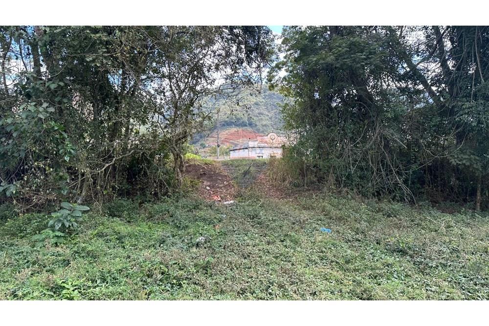 Terreno - Venda - Juiz de Fora , Minas Gerais - 8609d337-0062-4641-be4e-65f8e72c0112.JPG - 860291033-116