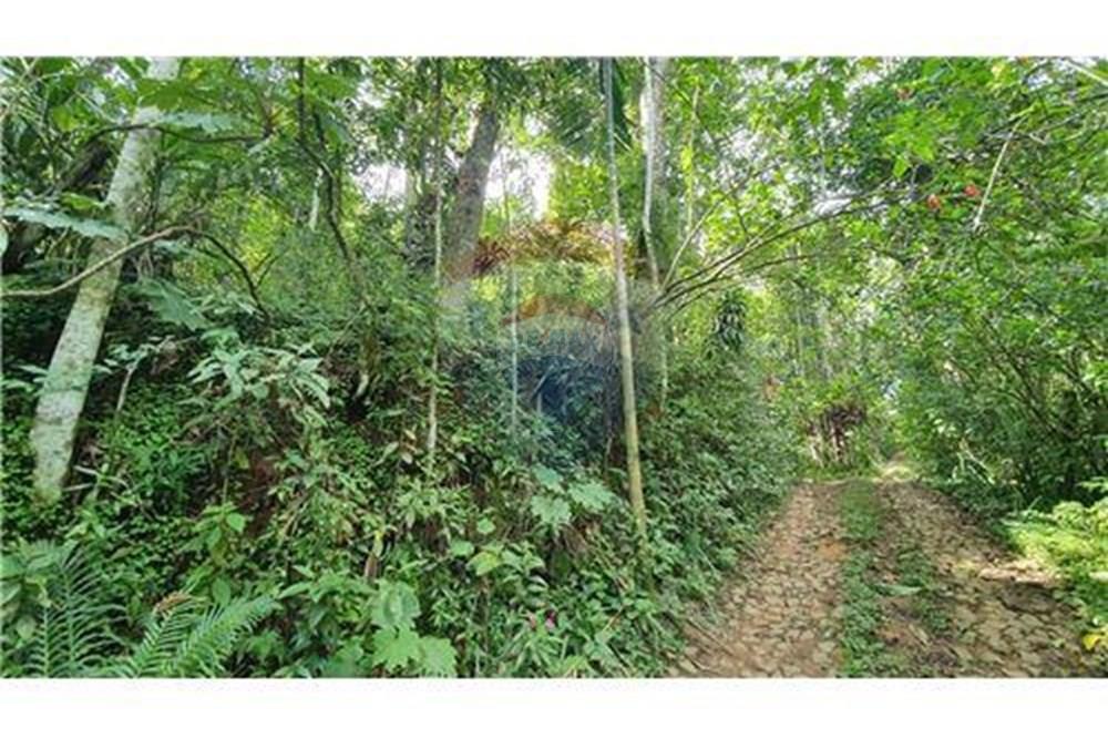 Terreno - Venda - Juiz de Fora , Minas Gerais - salva 5.jpg - 860231021-231