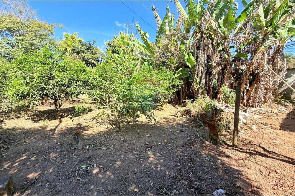 Terreno - Venda - Juiz de Fora , Minas Gerais - WhatsApp Image 2025-09-04 at 15.47.13 (2).jpeg - 860211077-201