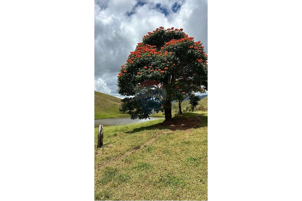 Chácara / Sítio / Fazenda - Venda - Lima Duarte , Minas Gerais - WhatsApp Image 2025-03-31 at 08.26.14 (1).jpeg - 860291033-87