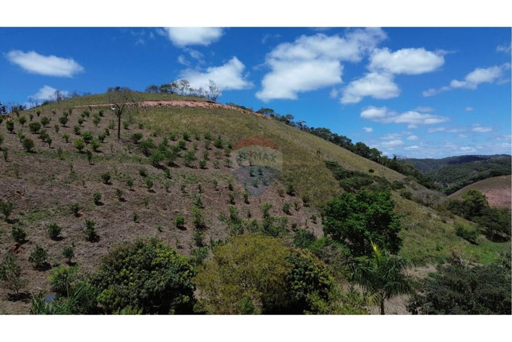 Terreno - Venda - Ewbank da Câmara , Minas Gerais - WhatsApp Image 2025-10-28 at 16.57.54.jpeg - 860241100-35