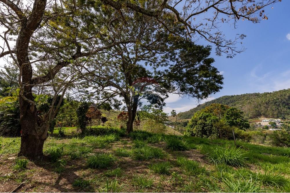 Terreno - Venda - Matias Barbosa , Minas Gerais - Campana-24.jpg - 860281009-136