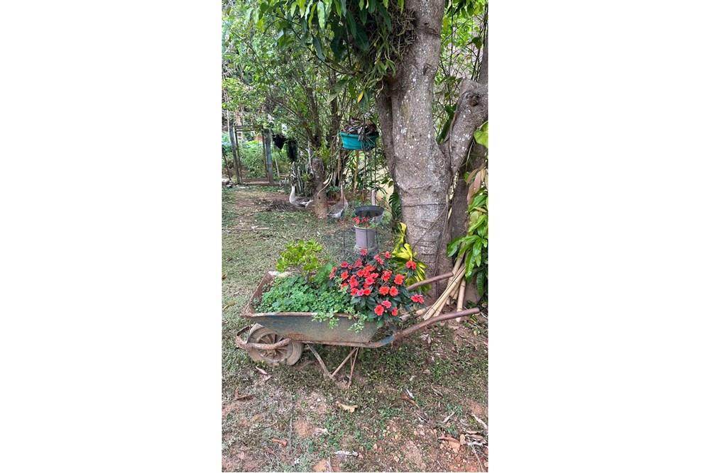 Chácara / Sítio / Fazenda - Venda - Juiz de Fora , Minas Gerais - WhatsApp Image 2025-02-12 at 18.14.58.jpeg - 860291033-75