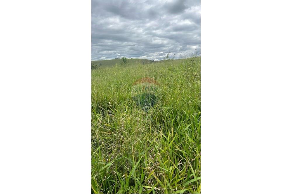 Terreno - Venda - Matias Barbosa , Minas Gerais - 85fa6d6b-7c3b-499e-bd89-b66bb7ab09e6.JPG - 860291033-86