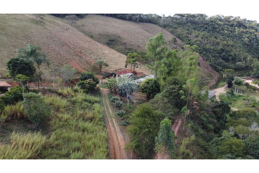 Chácara / Sítio / Fazenda - Venda - Ewbank da Câmara , Minas Gerais - WhatsApp Image 2025-02-19 at 16.44.54 (3).jpeg - 860301018-301