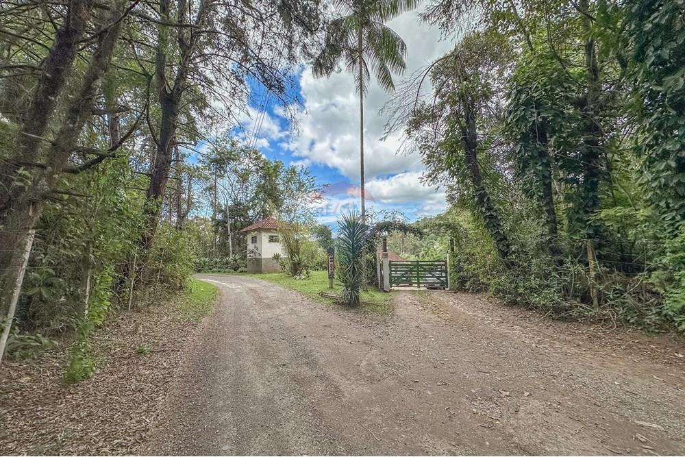 Chácara / Sítio / Fazenda - Venda - Juiz de Fora , Minas Gerais - FOTOIMOB-27.jpg - 860431023-209