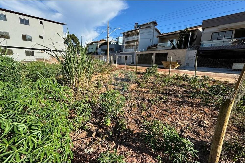 Terreno - Venda - Conselheiro Lafaiete , Minas Gerais - WhatsApp Image 2025-03-07 at 16.29.10.jpeg - 860421002-454