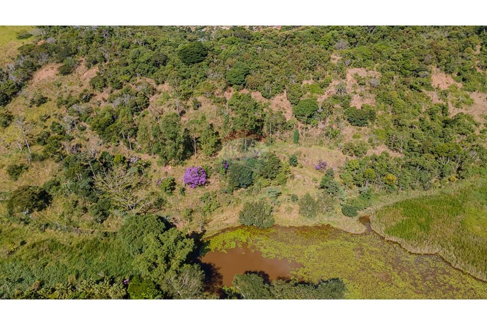 Terreno - Venda - Juiz de Fora , Minas Gerais - LOTE5-11.jpg - 860211017-53