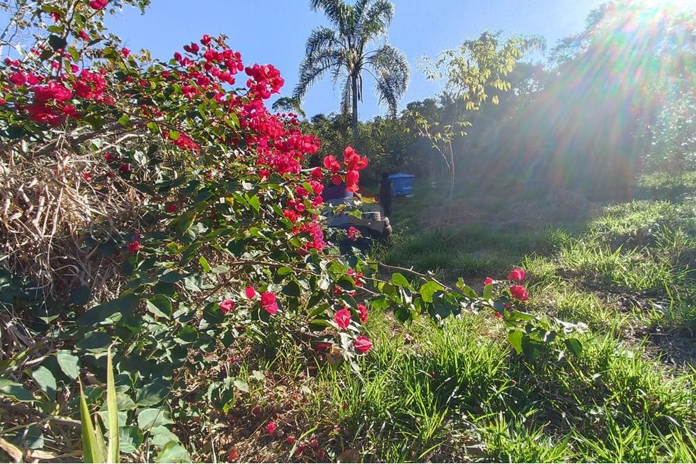 Chácara / Sítio / Fazenda - Venda - Juiz de Fora , Minas Gerais - 1753127184808.jpg - 860231032-15