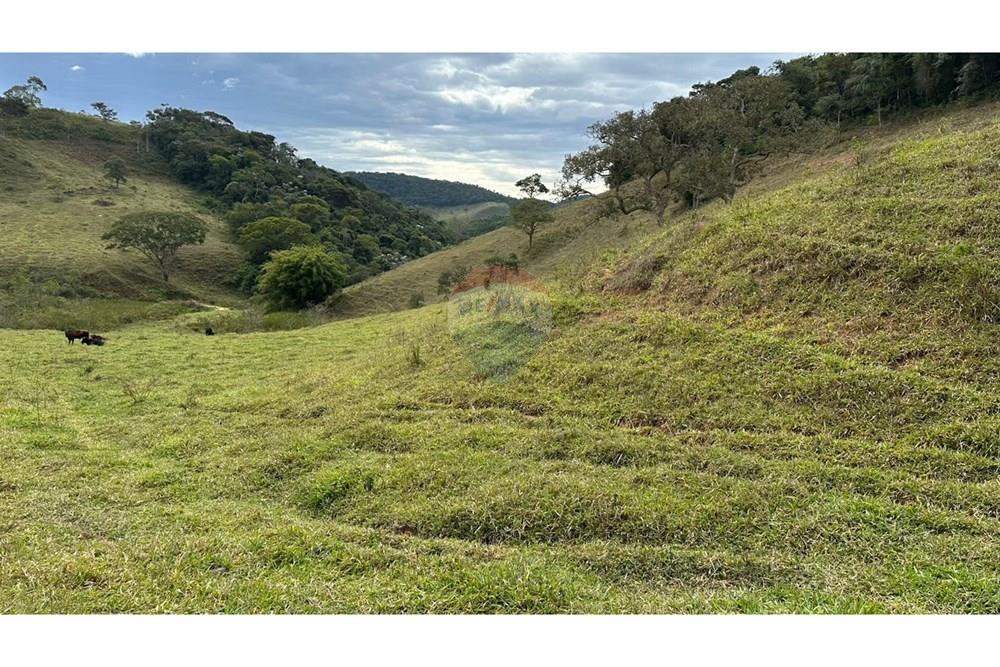 Chácara / Sítio / Fazenda - Venda - Lamim , Minas Gerais - WhatsApp Image 2025-09-05 at 10.36.58.jpeg - 860291033-115