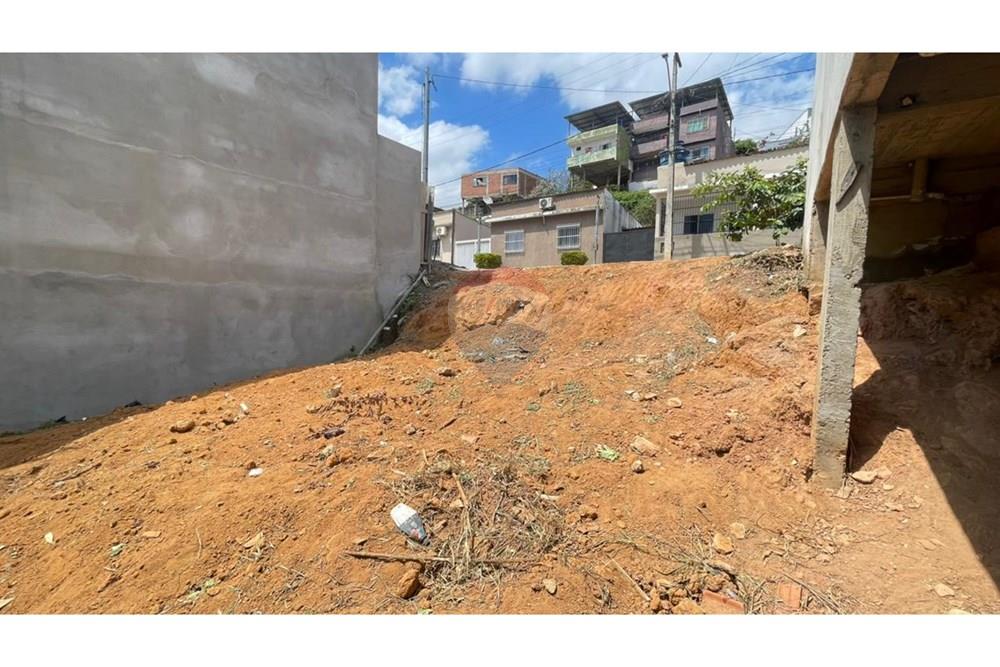 Terreno - Venda - Muriaé , Minas Gerais - Imagem do WhatsApp de 2025-10-02 à(s) 10.38.06_c98f6dcc.jpg - Quintal - 860371029-8