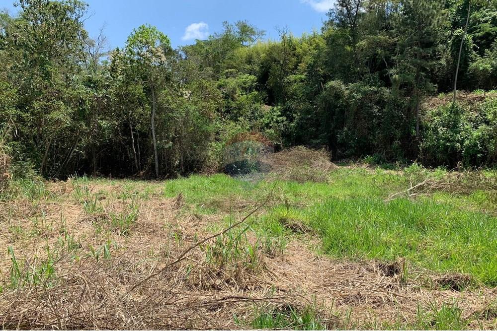 Terreno - Venda - Juiz de Fora , Minas Gerais - WhatsApp Image 2024-12-23 at 10.33.16 (1).jpeg - 860291033-70