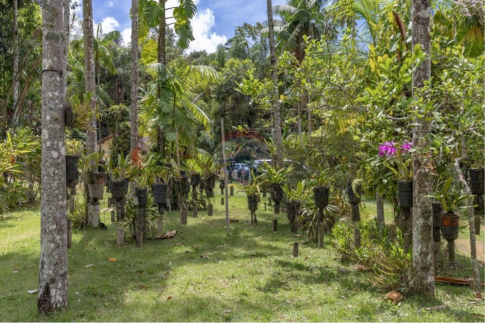 Chácara / Sítio / Fazenda - Venda - Juiz de Fora , Minas Gerais - FOTOIMOB-17.jpg - 860431023-209