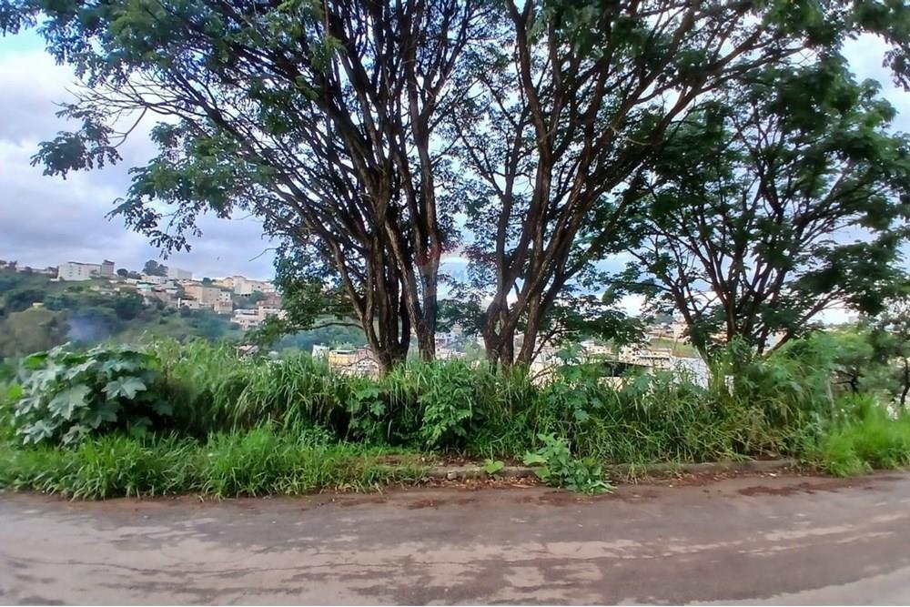 Terreno - Venda - Conselheiro Lafaiete , Minas Gerais - WhatsApp Image 2024-11-07 at 17.34.50 (2).jpeg - 860421029-77