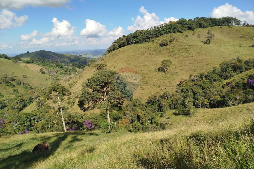 Fazenda - Venda - Barbacena , Minas Gerais - IMG_20250402_150105.jpg - 860391012-32