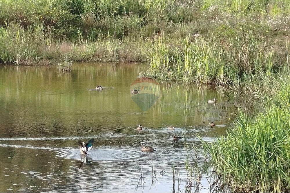 Fazenda - Venda - Barbacena , Minas Gerais - IMG_20250421_162012.jpg - 860391012-32