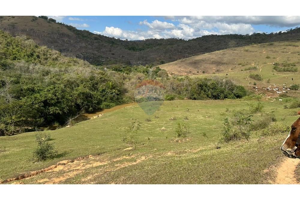 Chácara / Sítio / Fazenda - Venda - Cantagalo , Rio de Janeiro - 60ca1ada-f118-4c90-b480-9959a02b0509.JPG - 860291041-3