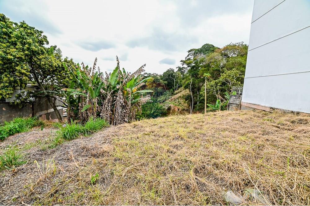 Terreno - Venda - Juiz de Fora , Minas Gerais - IMG-20250902-WA0050.jpg - 860211133-2