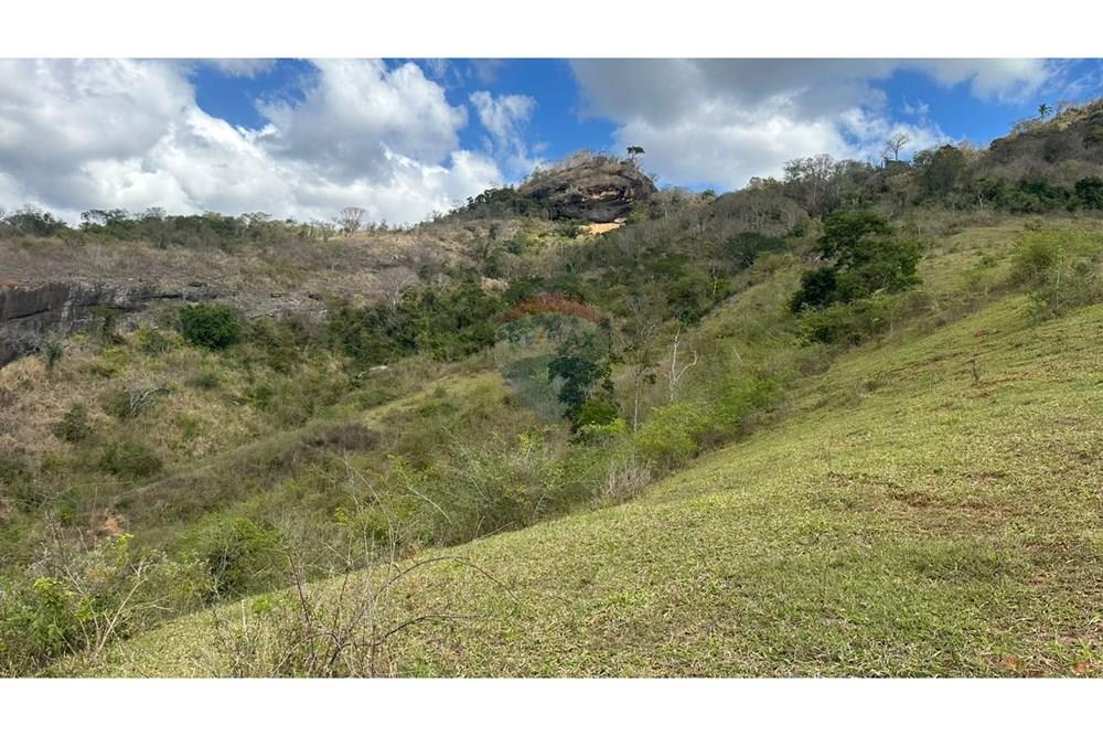 Chácara / Sítio / Fazenda - Venda - Cantagalo , Rio de Janeiro - a5d287b1-d13e-445b-8197-e1d6d27b4492.JPG - 860291041-3