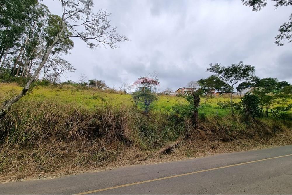 Terreno - Venda - Juiz de Fora , Minas Gerais - IMG-20250729-WA0008.jpg - 860211131-9