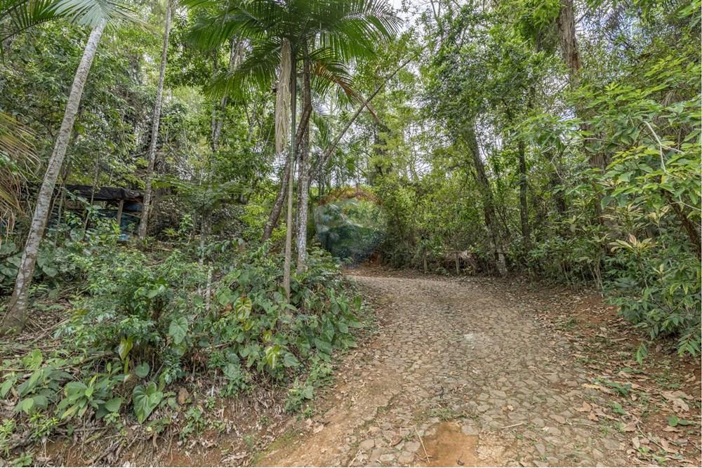 Chácara / Sítio / Fazenda - Venda - Juiz de Fora , Minas Gerais - FOTOIMOB-10.jpg - 860431023-209